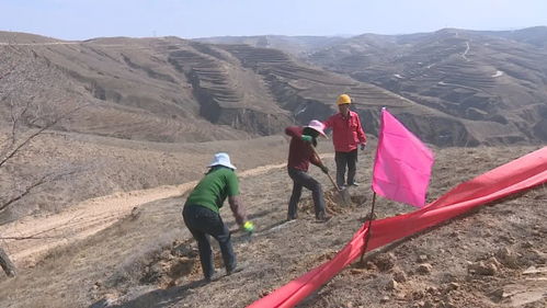 榆中县韦营乡防疫脱贫两手抓 两不误