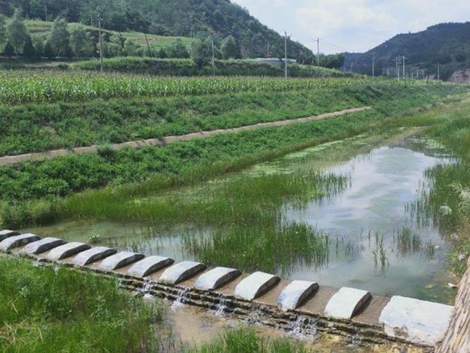 陕西有色西安勘察院助力黄河流域绿色发展延长县生态保护修复纪实