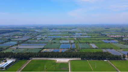 孝南区朱湖办事处全域土地综合整治试点入选全国首批全域土地综合整治试点典型案例