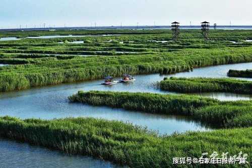 8项政策支持 河北鼓励和支持社会资本参与生态保护修复