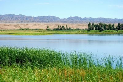 国际重要湿地 | 甘肃张掖黑河国际重要湿地:河西走廊荒漠内陆湿地