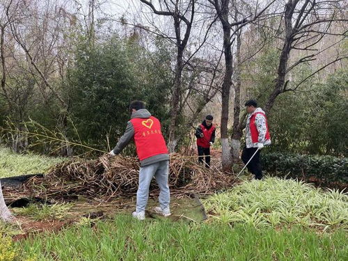 保护生态文明 爱鸥护滇有我 志愿服务活动