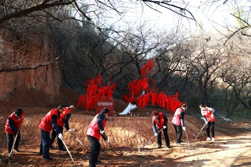 践行生态文明理念 守护千年樱桃沟 志愿服务行动启动