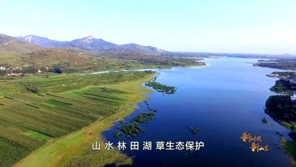 新时代 新山东丨恢复绿水青山,重现绿色生机!