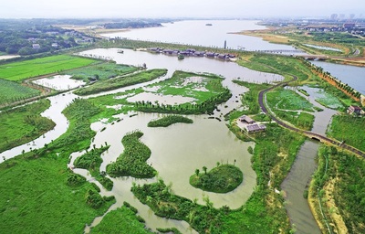 环境治理|湘阴洋沙湖国家湿地公园生态美